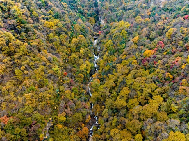 走進多彩太平 看見大美秦嶺 ——“美好西旅 詩畫秦嶺” 活動啟動