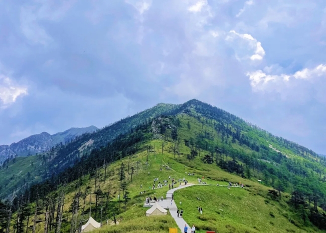 “生態(tài)秦嶺 清涼之約”主題媒體行活動(dòng) 探秘朱雀國(guó)家森林公園